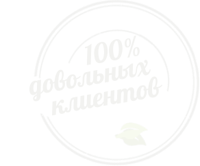печать папок для меню в минске